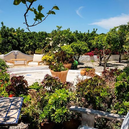 Casa Vale Del Rei Otel Tavira Dış mekan fotoğraf